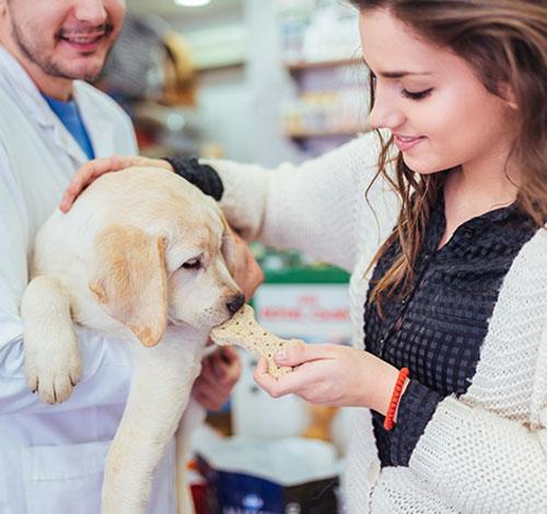 Veterinarian Visit