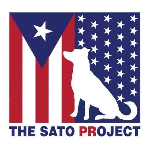 The Sato Project- a charity that goes above and beyond for the pups that need it the most